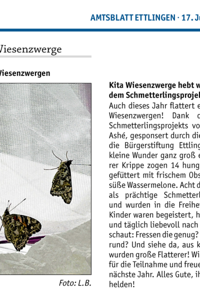 20250717 Amtsblatt 29b