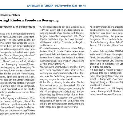 20251106 Amtsblatt Ettlingen 45